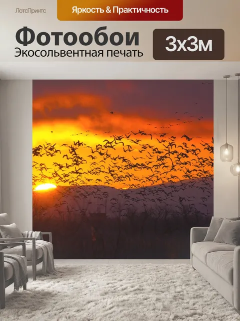 Фотообои Гусь
