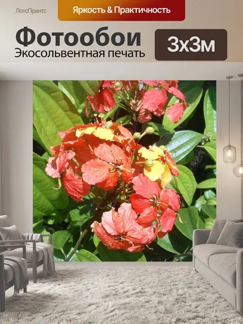 Фотообои Цветы на дороге