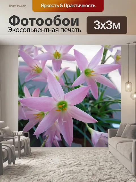 Фотообои Цветы