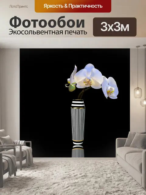 Фотообои Орхидеи