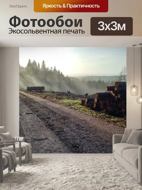 Фотообои Стволы деревьев