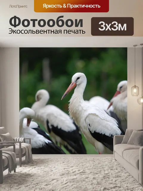 Фотообои Природа