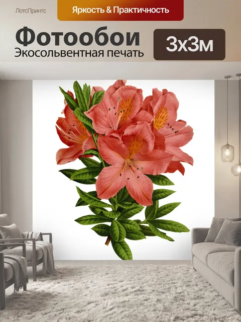 Фотообои Цветы