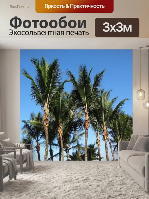 Фотообои Пальмовые деревья