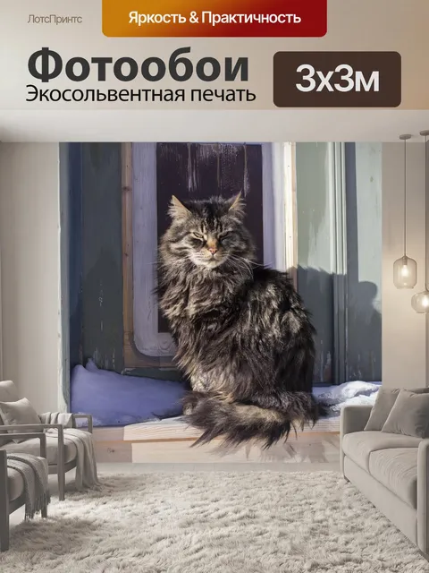 Фотообои Кошка