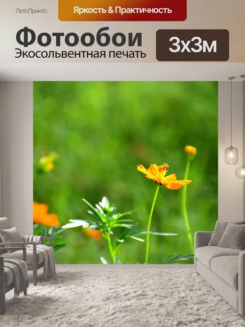 Фотообои Цветы