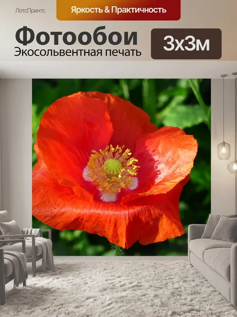 Фотообои Цветок