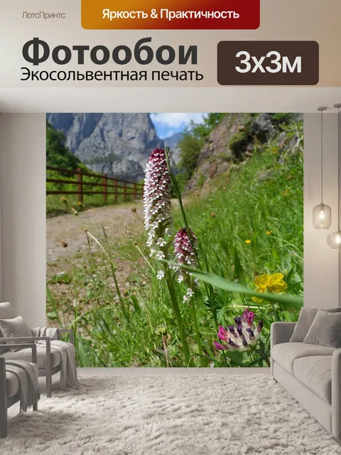 Фотообои Гора