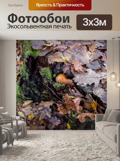 Фотообои Пень