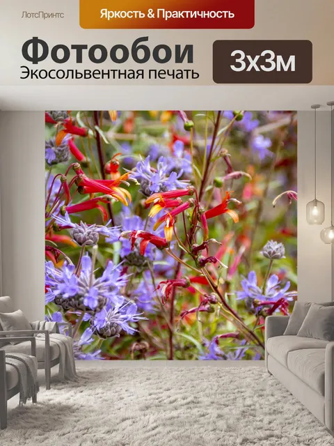 Фотообои фиолетовые и красные цветы