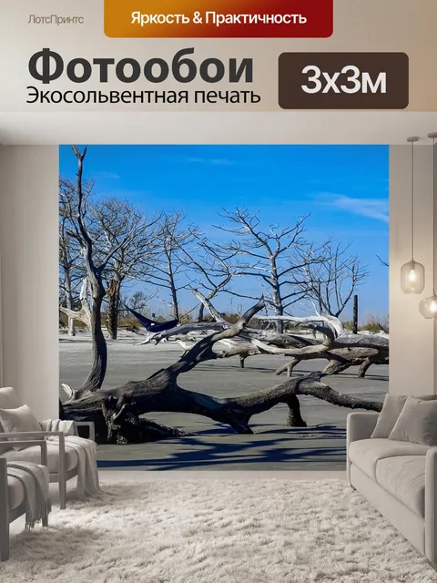 Фотообои коряги пляж Грузия
