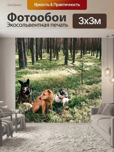 Фотообои Собаки