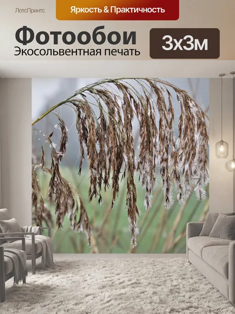 Фотообои Сухая трава