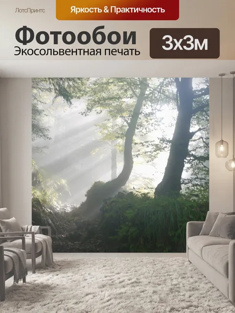 Фотообои Подниматься