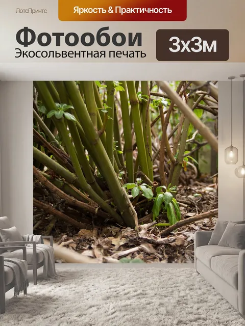 Фотообои Листья