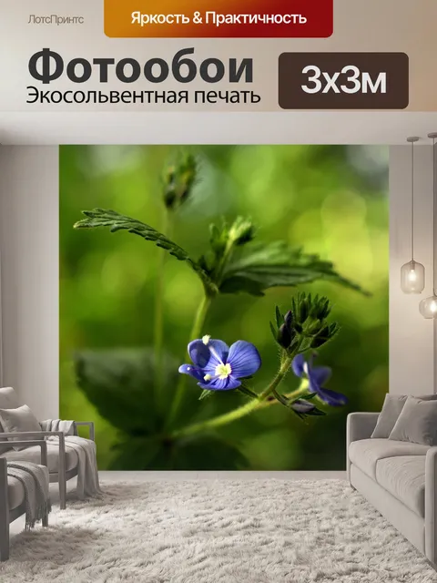 Фотообои Цветок