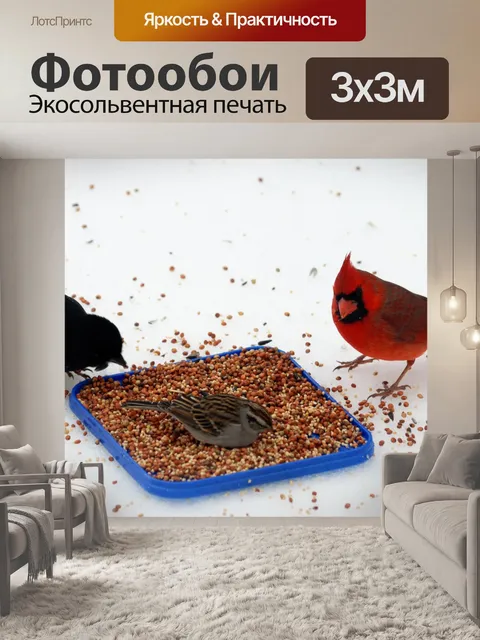 Фотообои Птицы, питающиеся