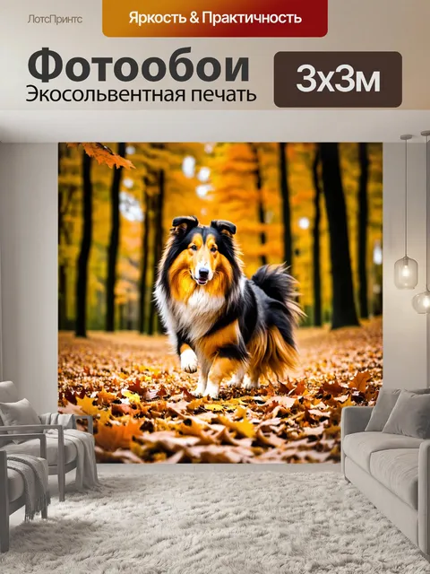 Фотообои драматическая сцена в лесу осенью, грубая колли играет в ярких опавших листьях