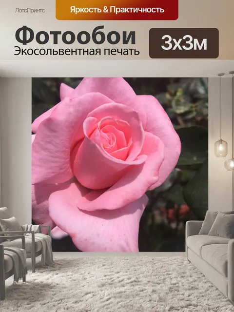 Фотообои Розы