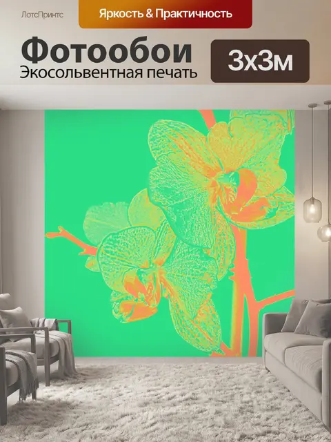 Фотообои Изолированная орхидея