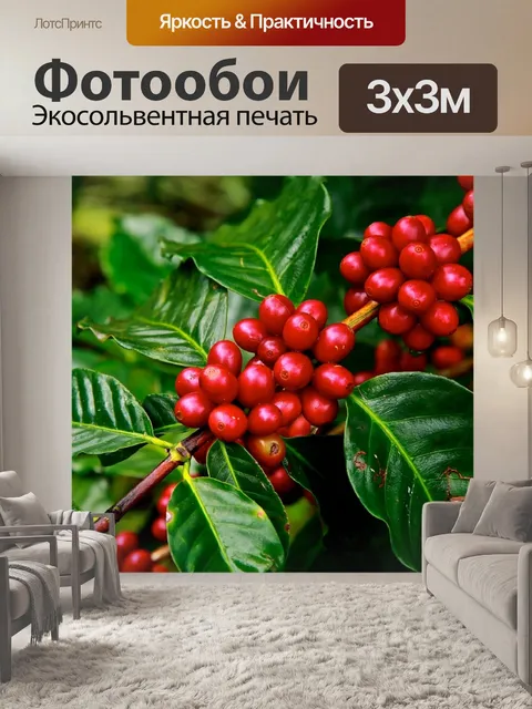 Фотообои Кофейные зерна