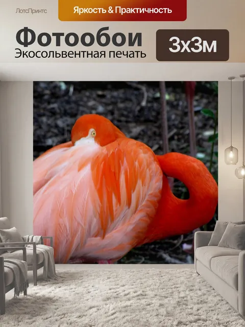 Фотообои Фламинго