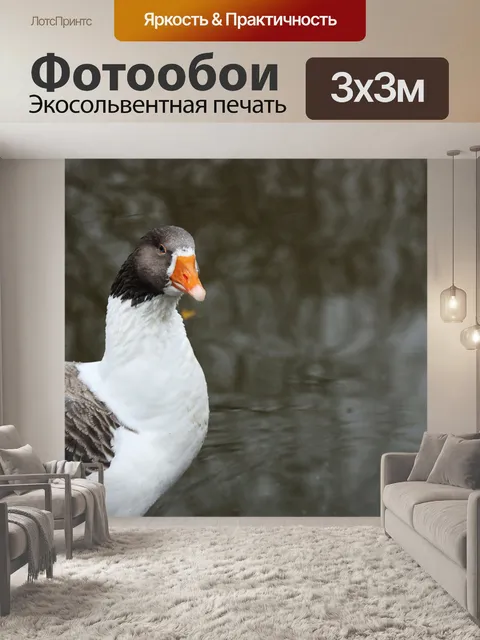 Фотообои Гуси