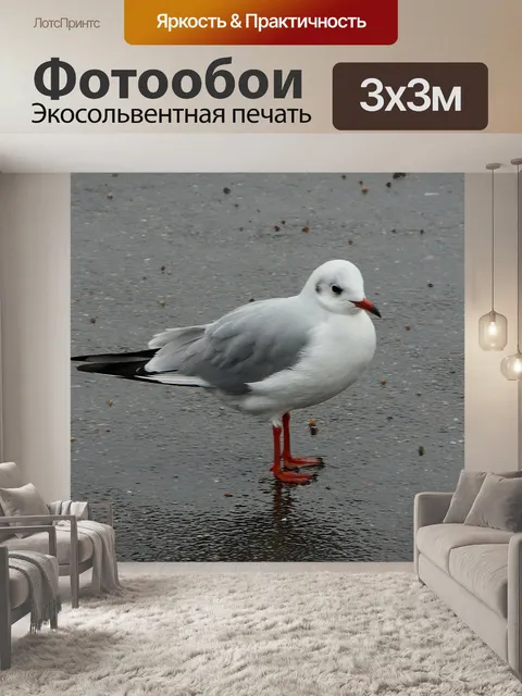 Фотообои Птицы