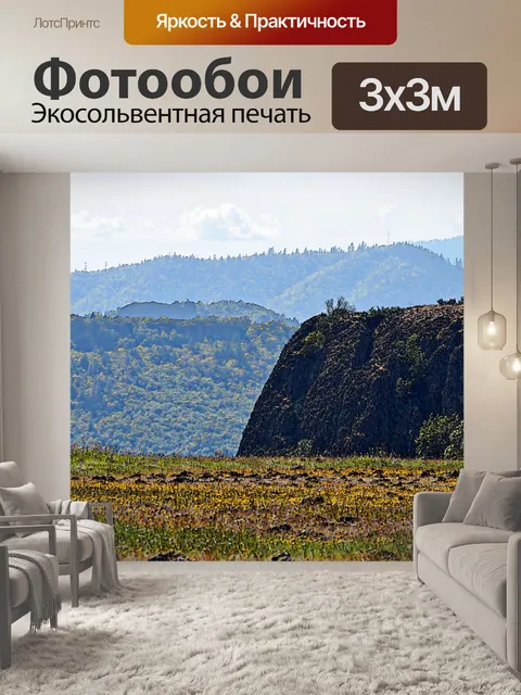 Фотообои Полевые цветы и Mesas
