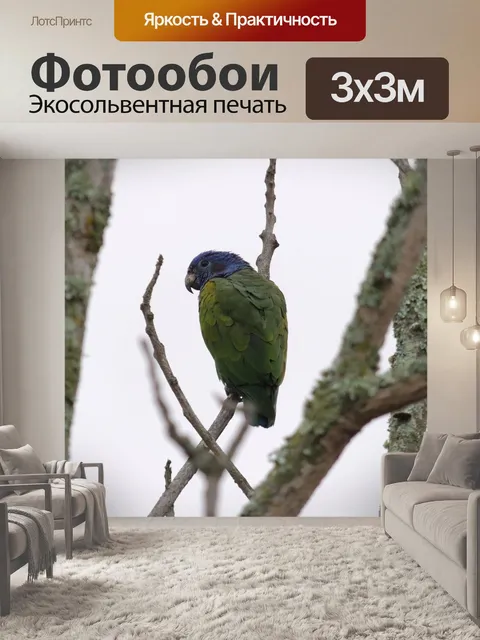 Фотообои Птицы