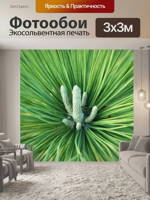 Фотообои Сосна