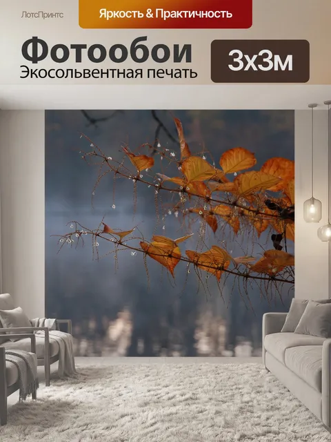 Фотообои Падение