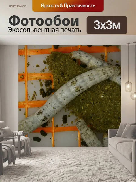 Фотообои Тутовый шелкопряд