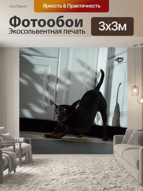 Фотообои Собака