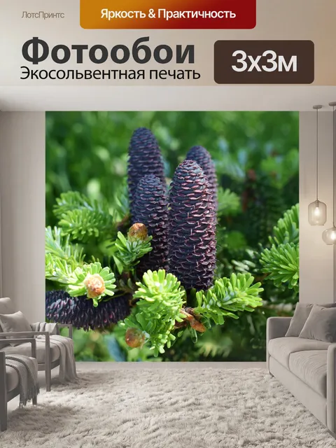 Фотообои Дерево
