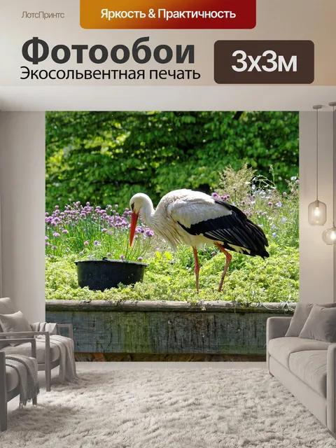 Фотообои Аист