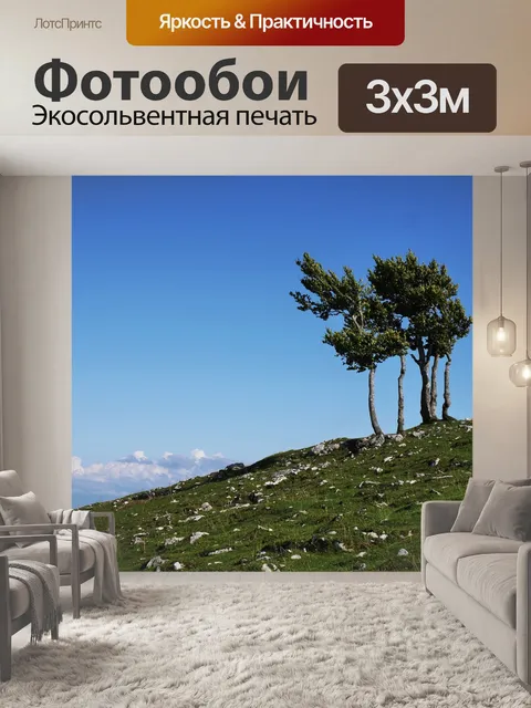 Фотообои Ветер