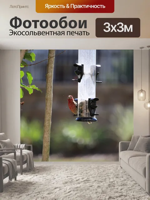 Фотообои Птица