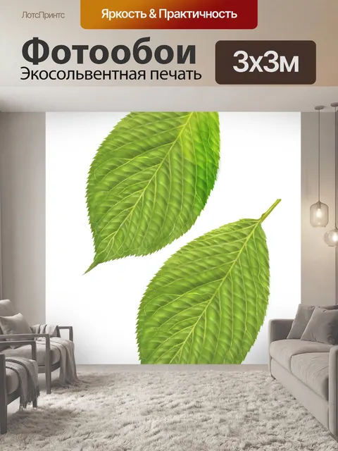 Фотообои Листья
