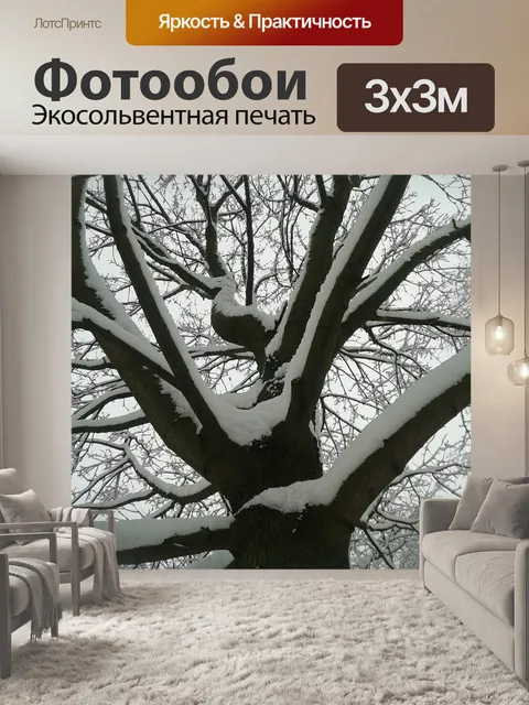Фотообои Зима
