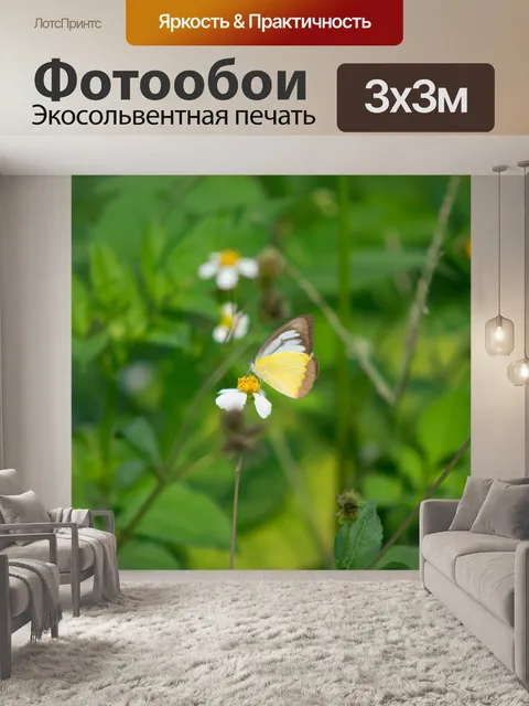 Фотообои Бабочки