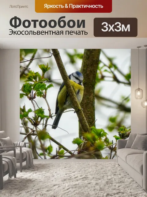 Фотообои Природа