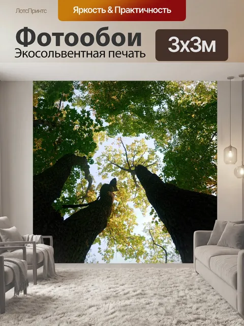 Фотообои Деревья