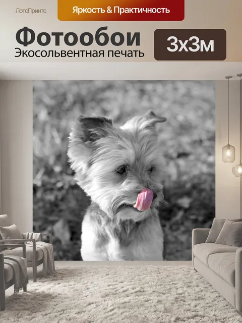 Фотообои Йорк