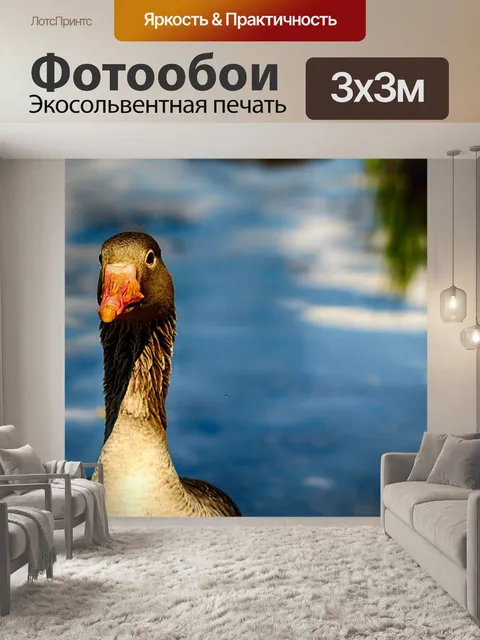 Фотообои Птица