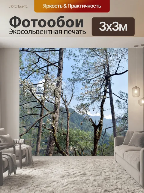 Фотообои Сосны 3