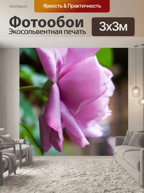 Фотообои Розы