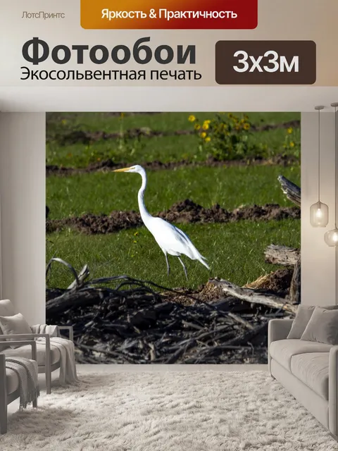 Фотообои Цапля