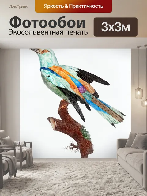 Фотообои Птицы тропических старинных искусства