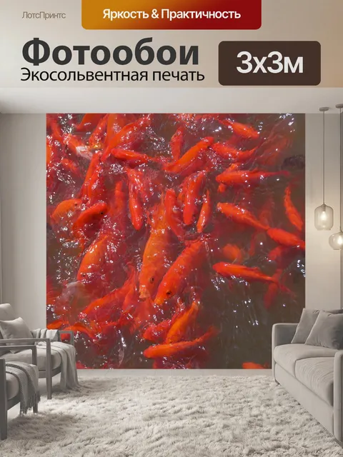 Фотообои Рыбы